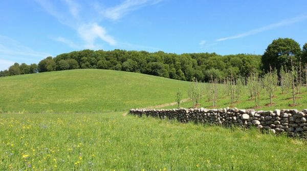 Conseils pour réussir votre aménagement de terrains à Lesme
