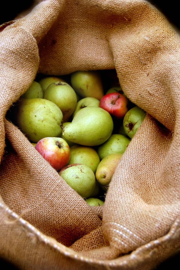 Quels sont les conseils pour préparer des collations saines pour les longues randonnées ?