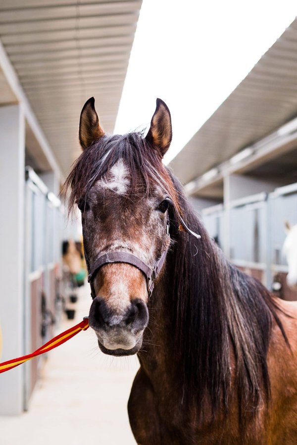Quelles méthodes les PME peuvent-elles adopter pour assurer l'équité salariale entre hommes et femmes ?